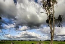 欧国联:比利时0比1输给意大利.