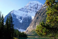 鲸鱼体育:替补稳定输出火力,弗格11中7&三分8中5取22分2板1助1断.