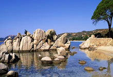 鲸鱼体育：[乒乓球]孙颖莎林高远回应文明观赛倡议.